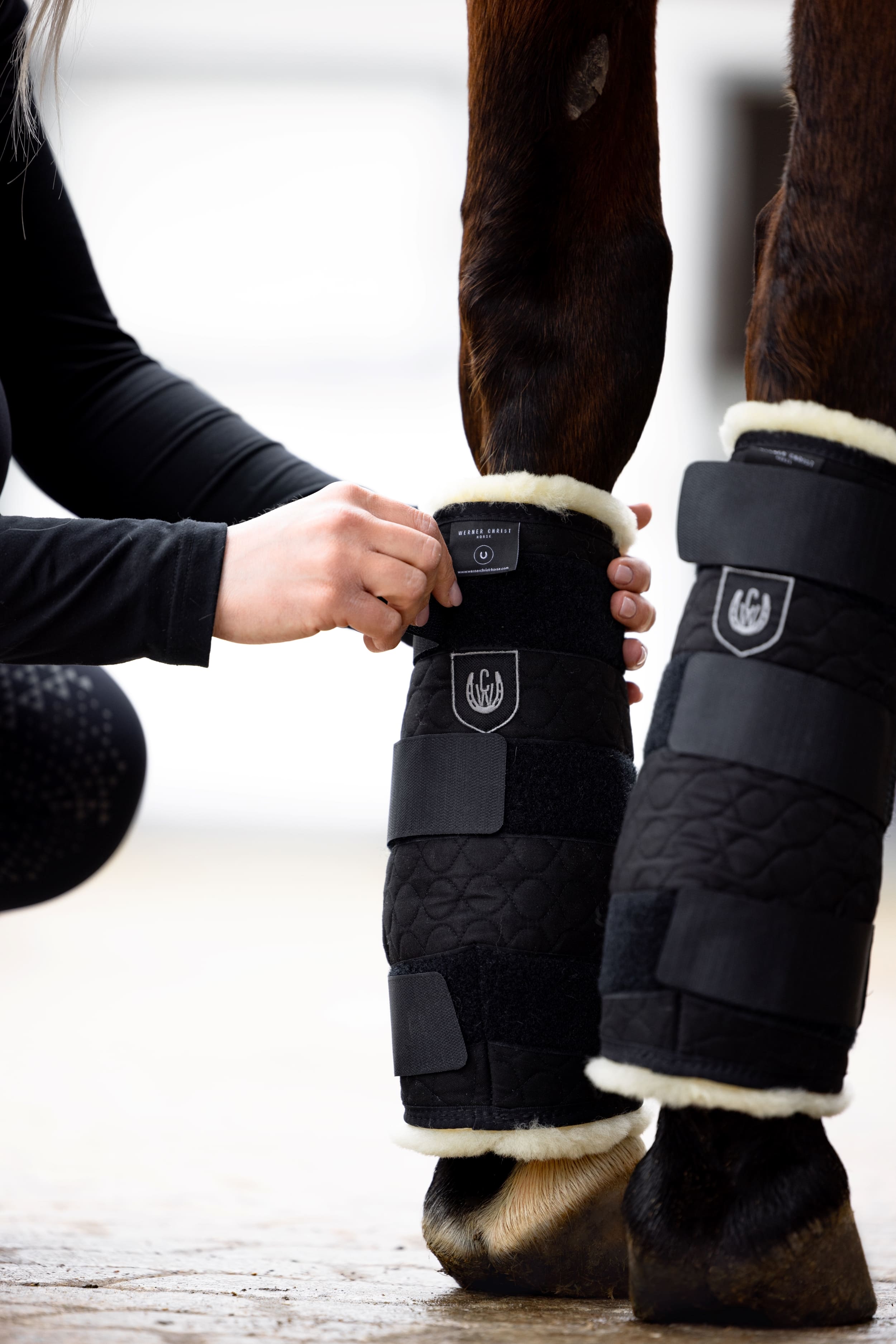 Accessories for horses to protect our darlings in everyday life and during transport. 
